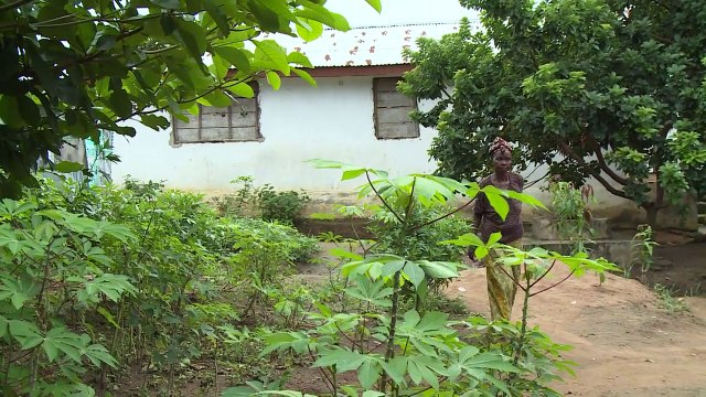 Ebola leaves orphans alone in Sierra Leone