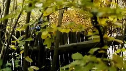 Karınca Çocuk - Fragman