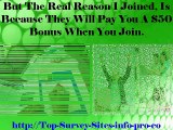 Get Paid For Surveys, Complete Surveys For Money, Surveys Online For Money, Paid Opinions