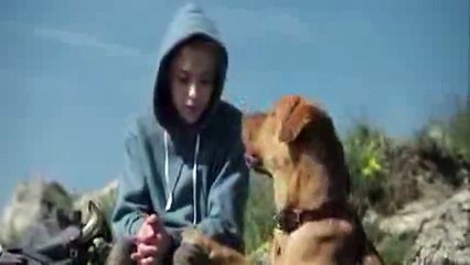 Beyaz Tanrı - Fragman