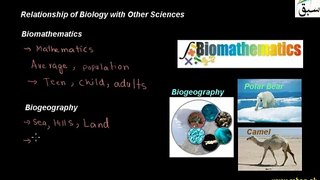 Biology and  Other Sciences