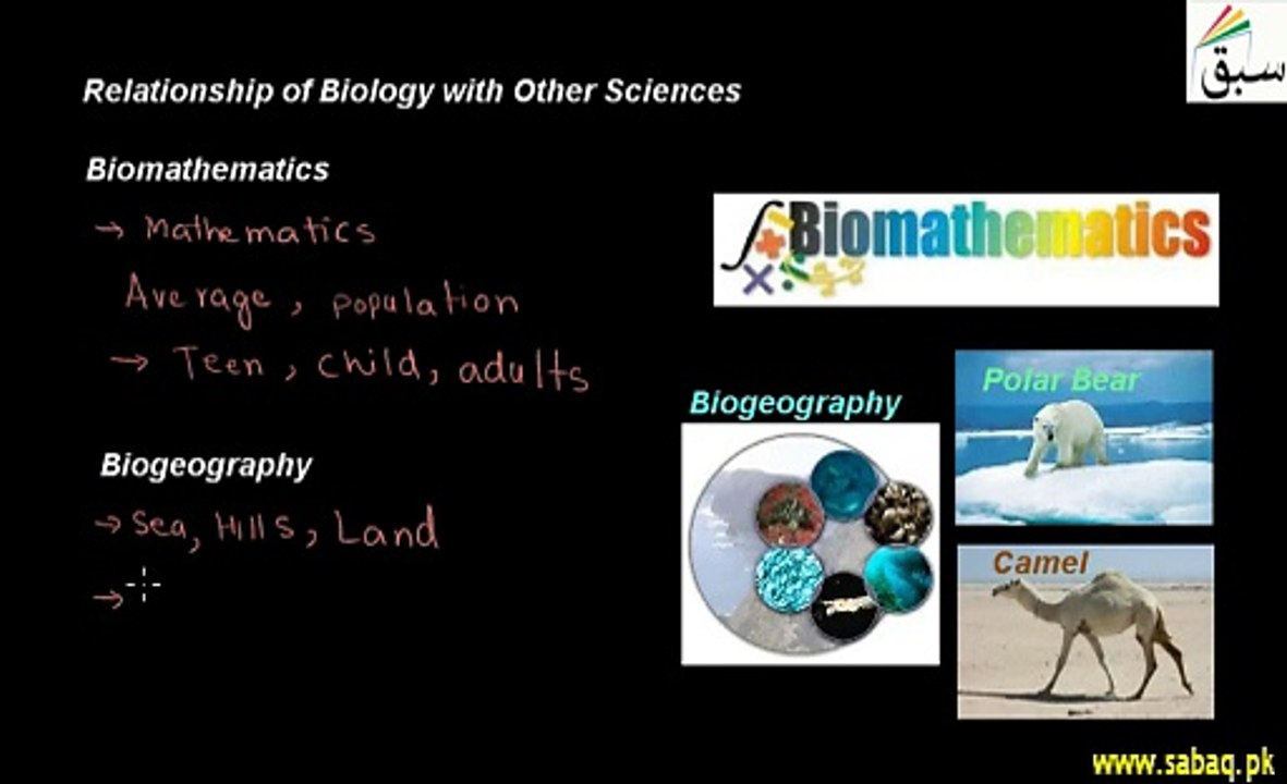 Biology and  Other Sciences
