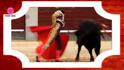 ASPIRANTES TRIUNFADOR 2014