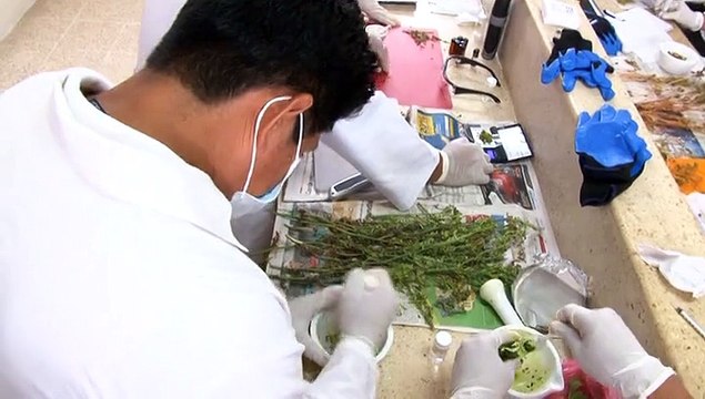 Taller de principios activos