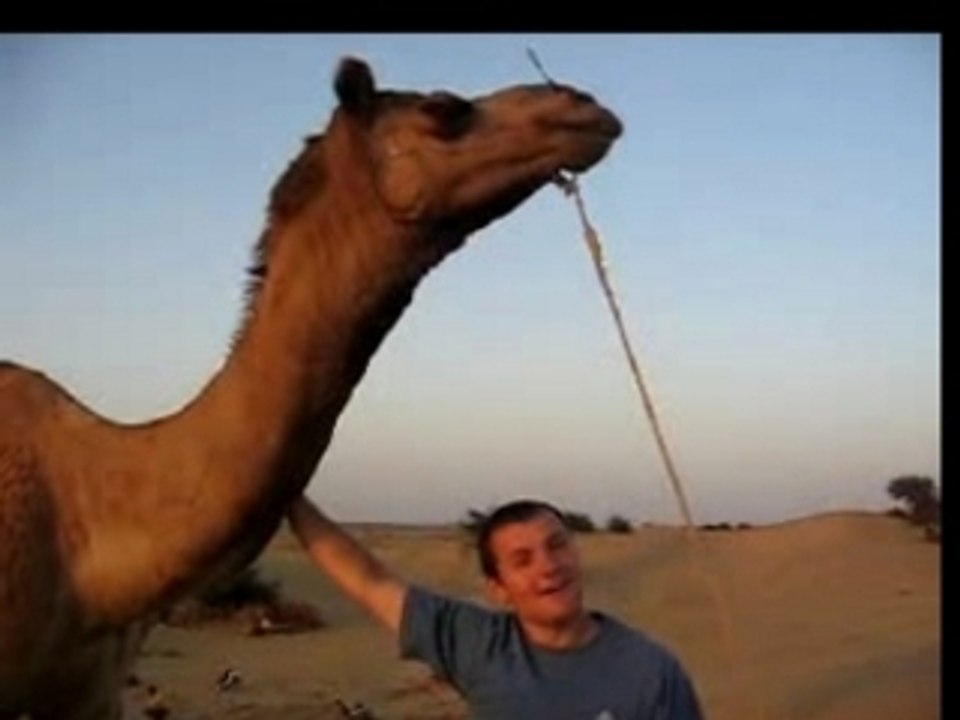 Coucher de soleil dans le desert