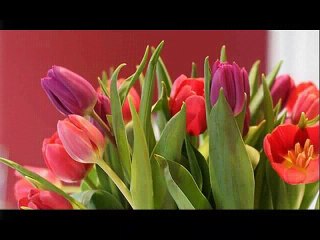 doğum günün kutlu olsun....