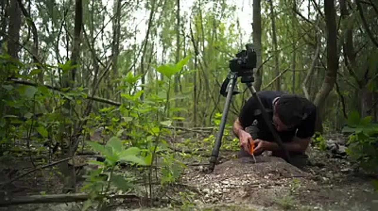 Our world, our sea Please clean Let us assume