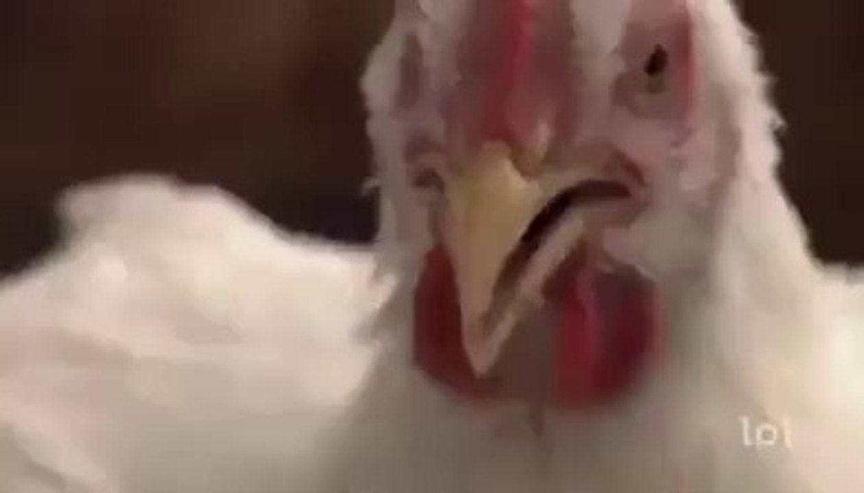 Lol Super funny video