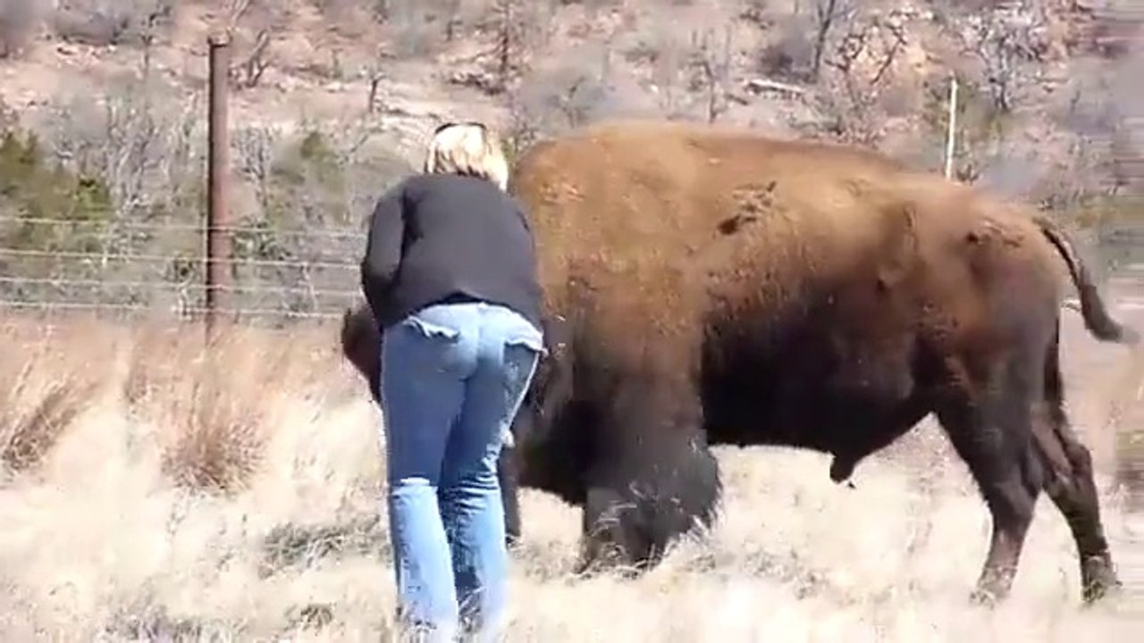 More curious is not good