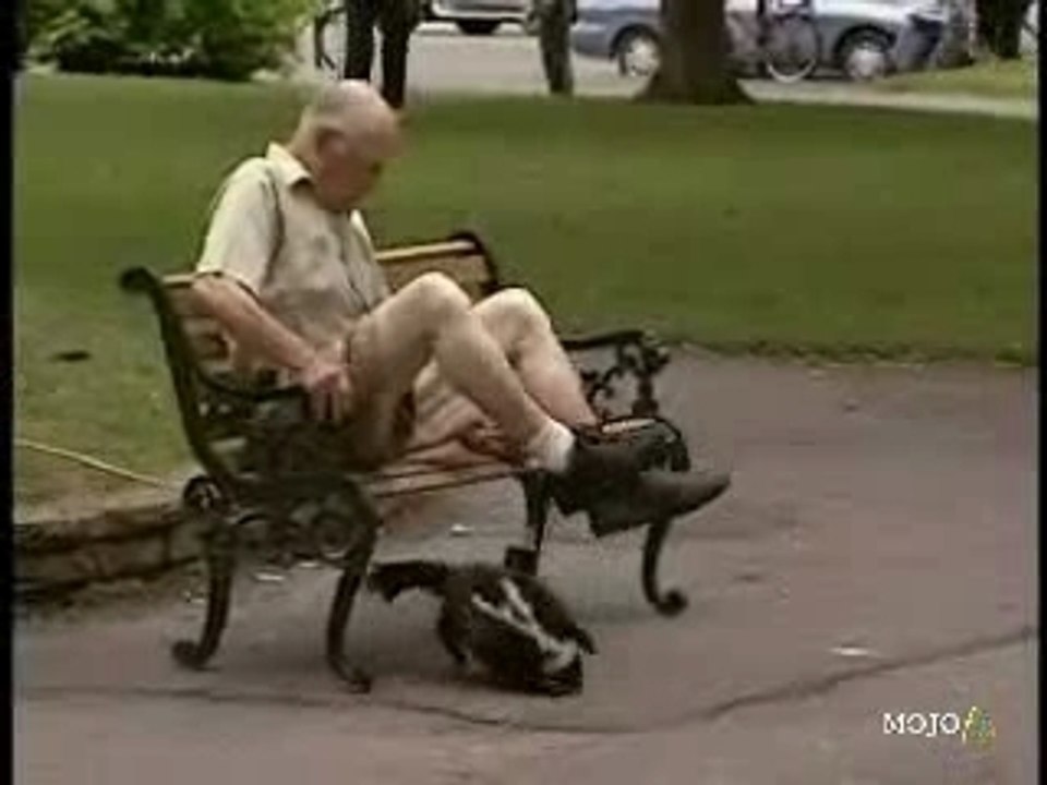 2007_broma-de-la-mofeta