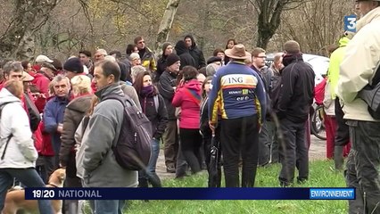 Isère : la construction d'un village "Center Parcs" fait débat