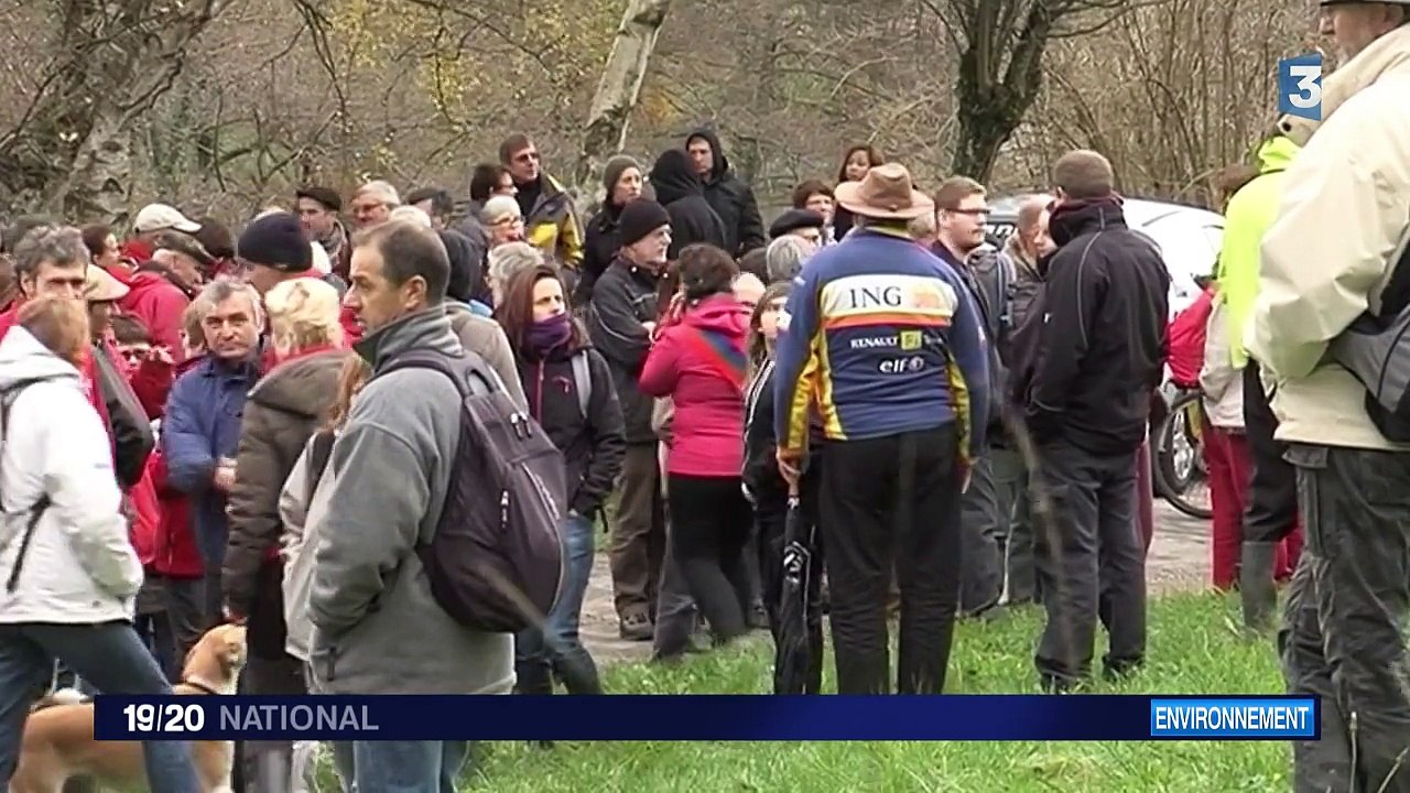 Isère : la construction d'un village "Center Parcs" fait débat