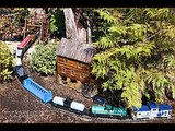 Model Trains For Beginners