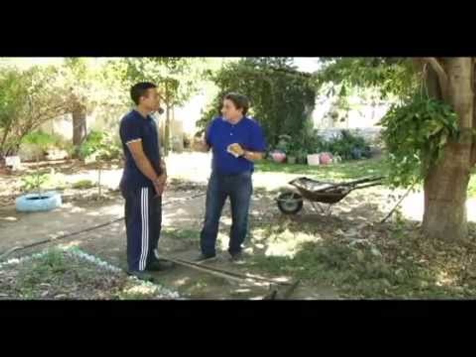 FORMAÇÃO PARA O TRABALHO | 20.09.2014 | PLANTAS MEDICINAIS