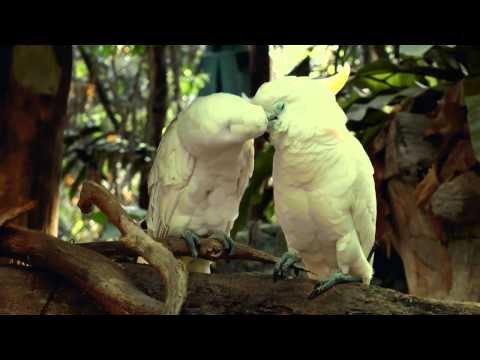 VT SOMOS TODOS HUMANOS - MARTPET VDG
