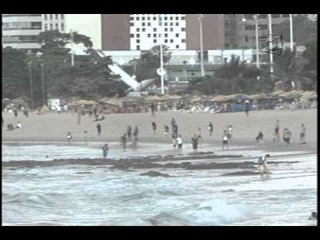 VIVA DOMINGO  | 22.06.2014 | AVALIAÇÃO DOS SERVIÇOS DA COPA