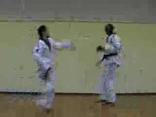 Tae-Kwon-Do - Free Fight