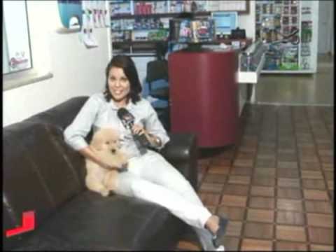 Animais em apartamentos - Imóveis e Cia - 15.01.13