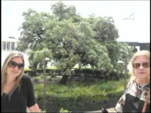 Viva Domingo | Viajo porque preciso - Fátima, Portugal | 2.12.2012