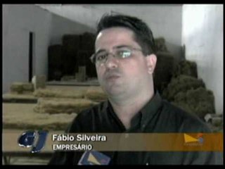 Fibra do coco é reaproveitada para combater poluição