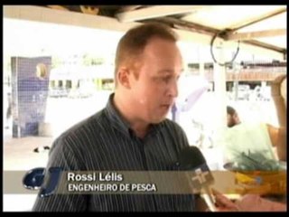 Cuidado na hora de comprar o peixe da Semana Santa