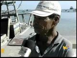 VT - Ventos pescadores