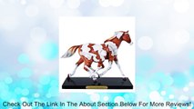 The Trail of Painted Ponies Painted Harmony Figurine Review