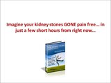 Kidney Stone Remedy Review-Don't Buy The Kidney Stone Remedy Until You Watch This!