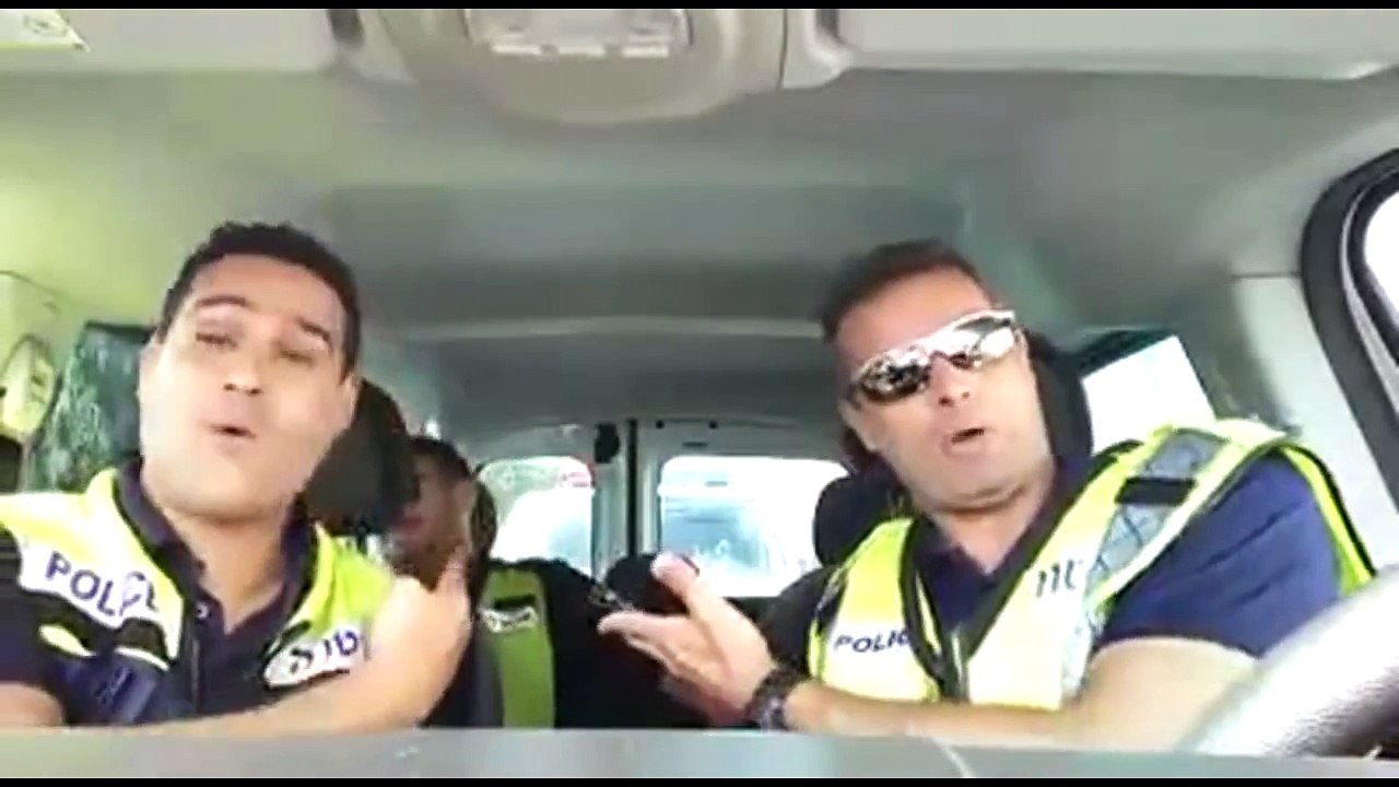 The Lion King Jungle Police