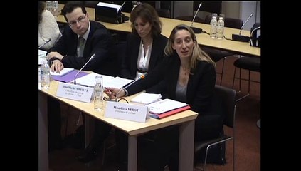 Audition de membres du cabinet réforme de l'Etat - Mercredi 26 Novembre 2014