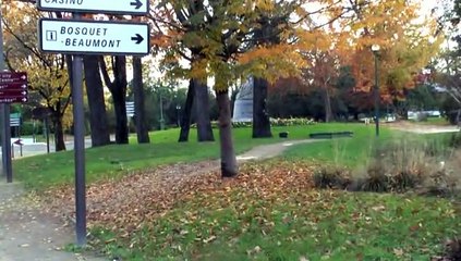 MICHOU64 W-D.D. - PROPOSE UNE IDÉE POUR MA VILLE - REMPLACER LA DÉGRADATION DE LA PELOUSE PAR UNE ALLÉE GRAVILLONNÉE.