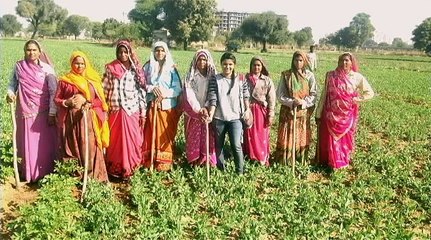 Thanksgiving gesture to Organic farmers