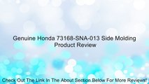 Genuine Honda 73168-SNA-013 Side Molding Review
