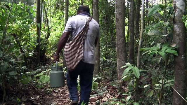 Brésil / Sida: une fabrique de l'amour au coeur de l'Amazonie