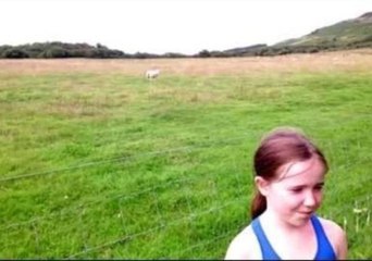 Sheep Plays Along With Classic Joke