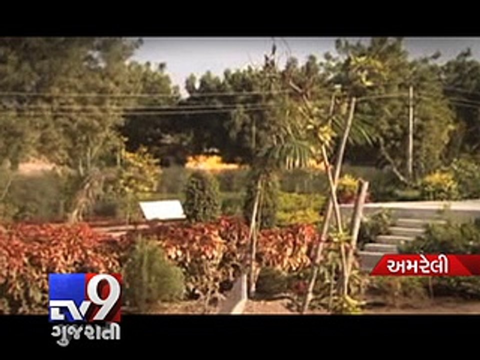 Sansad Adarsh Gram Yojna: MP Naranbhai Kachhadia adopts 'developed' Akala Village, Amreli - Tv9 Gujarati
