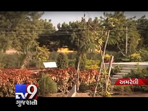 Sansad Adarsh Gram Yojna: MP Naranbhai Kachhadia adopts 'developed' Akala Village, Amreli - Tv9 Gujarati