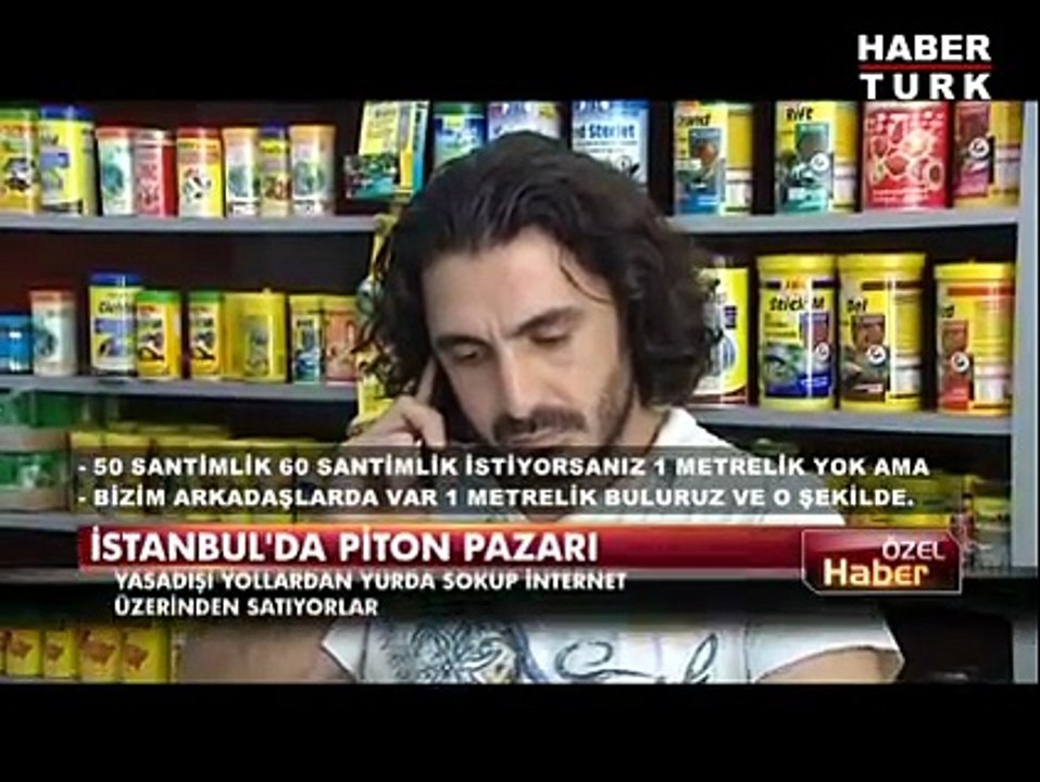 PİTON HABERİ www.mybestpetshop.com