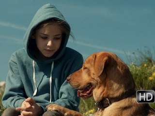 Fehér Isten: Trailer HD VF