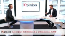 Décryptage : Présidence de l'UMP : les enjeux de l'élection