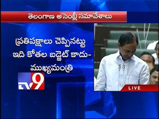 KCR responds to Opposition charges on TS Budget