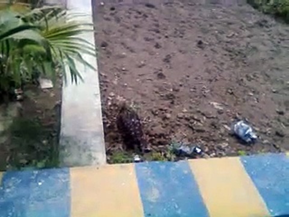 sick Falcon UET Lahore