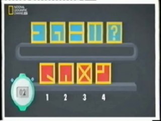 Cerebro: Creacion de habitos (Mielina)