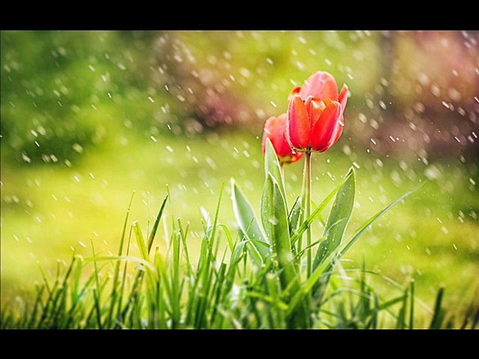 ''Hawa k halke jhonk ki ahat'' A sad ghazal voice by RJ IMRAN ADEEB