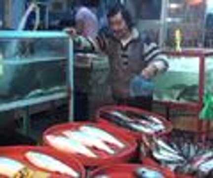 Günde 1 kilograma yakın çiğ balık yiyor