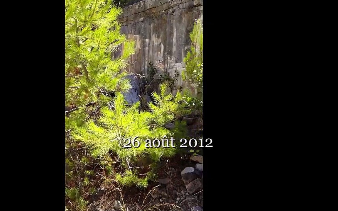 26 août 2012-Large