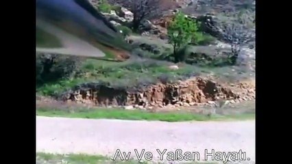 Domuzun Vurulma Anı