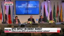 News-in-Depth: Impact of OPEC decision on Korea's energy market