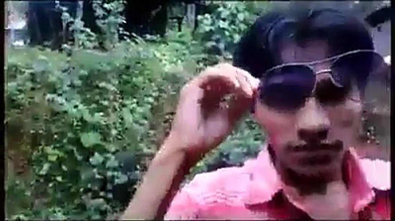 bollywod beats