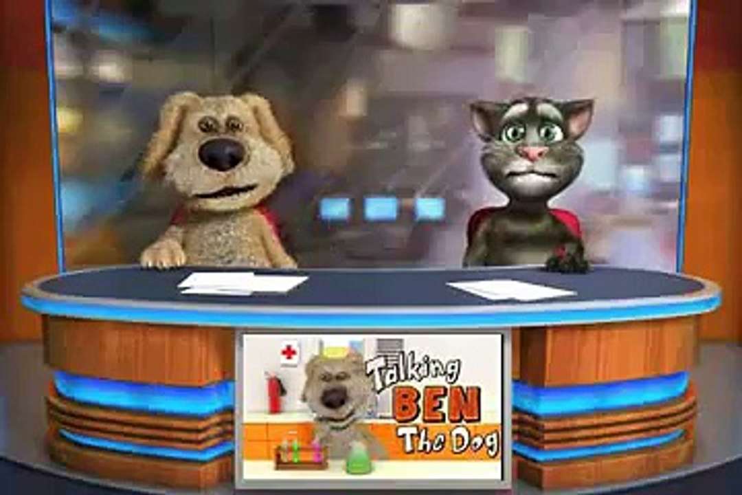 Tom cat funny video